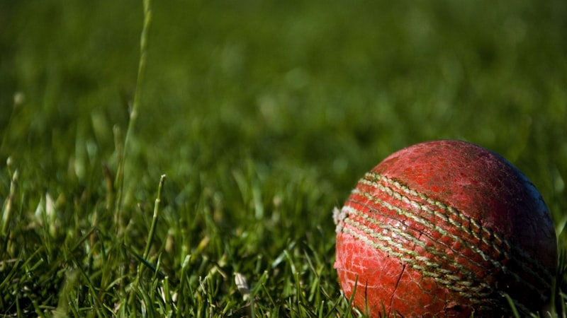 世界杯冠军奖杯大力神杯在北美巡展时被球迷围观的盛况